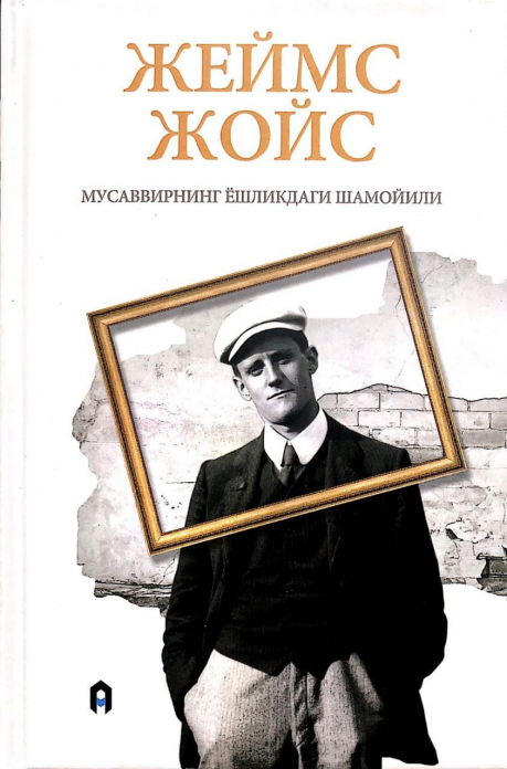 Мусаввирнинг ёшликдаги шамойили (А5, қаттиқ) 368 бет