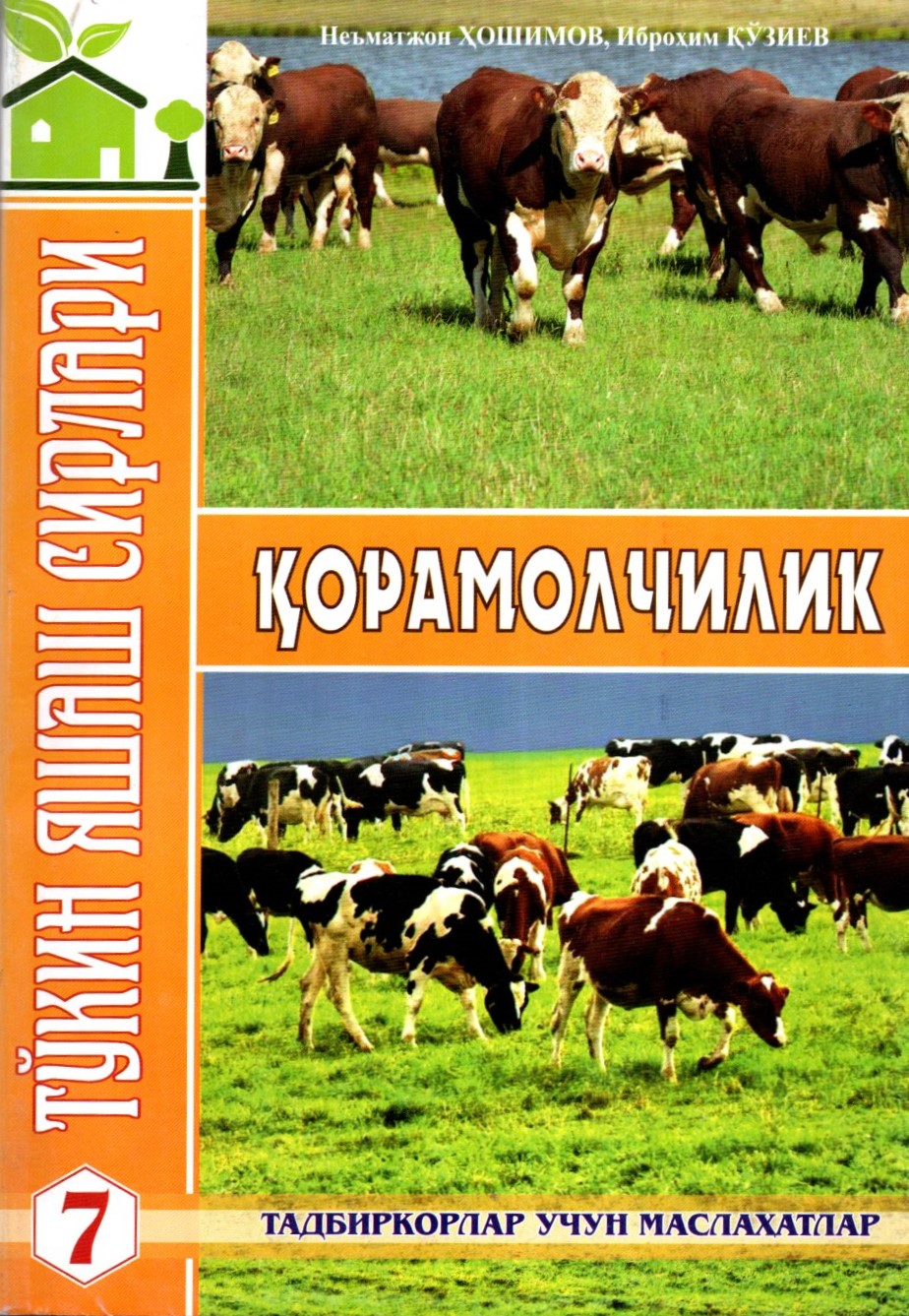 Қорамолчилик (А5, юмшоқ)