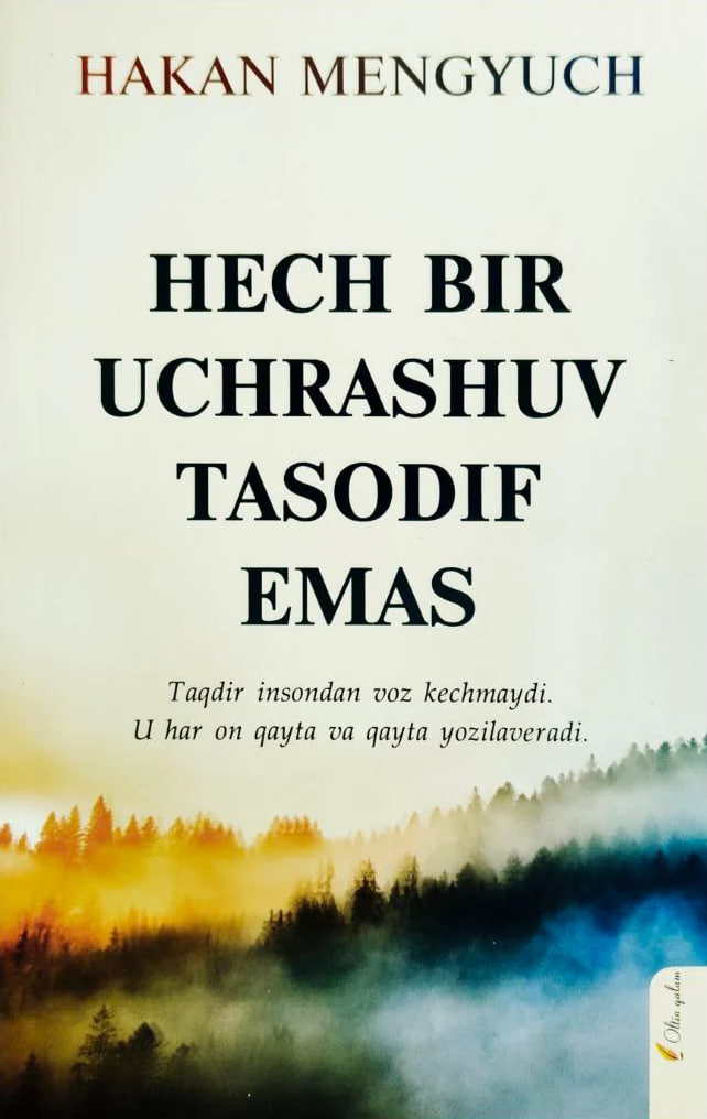 Hech bir uchrashuv tasodif emas (А5, yumshoq) 208 bet